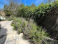 Pretty Country Home in Alicante Dream Homes API 1122