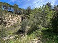 Pretty Country Home in Alicante Dream Homes API 1122