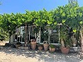 Pretty Country Home in Alicante Dream Homes API 1122
