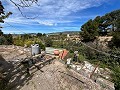 Pretty Country Home in Alicante Dream Homes API 1122
