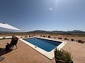 Atemberaubende Neubauvillen in Pinoso, Alicante in Alicante Dream Homes API 1122
