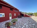 Prachtige villa met 5 slaapkamers en 4 badkamers in Encebras(Pinoso) met prachtig uitzicht! in Alicante Dream Homes API 1122