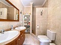 Prachtige villa met 5 slaapkamers en 4 badkamers in Encebras(Pinoso) met prachtig uitzicht! in Alicante Dream Homes API 1122