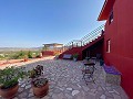 Prachtige villa met 5 slaapkamers en 4 badkamers in Encebras(Pinoso) met prachtig uitzicht! in Alicante Dream Homes API 1122