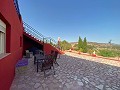 Prachtige villa met 5 slaapkamers en 4 badkamers in Encebras(Pinoso) met prachtig uitzicht! in Alicante Dream Homes API 1122