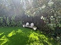 Exclusive 4 Bed 3 Bath Villa in Loma Bada Petrer. in Alicante Dream Homes API 1122