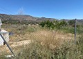 Villa met 3 slaapkamers en 2 badkamers en gastenverblijf met 3 slaapkamers en 1 badkamer in Salinas. in Alicante Dream Homes API 1122