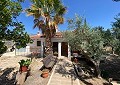 Villa met 3 slaapkamers en 2 badkamers en gastenverblijf met 3 slaapkamers en 1 badkamer in Salinas. in Alicante Dream Homes API 1122