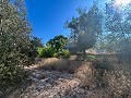Gran Casa de Campo con Piscina y Anexo en Sax in Alicante Dream Homes API 1122