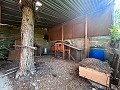 Gran Casa de Campo con Piscina y Anexo en Sax in Alicante Dream Homes API 1122
