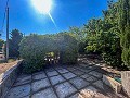 Gran Casa de Campo con Piscina y Anexo en Sax in Alicante Dream Homes API 1122