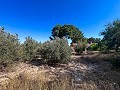 Gran Casa de Campo con Piscina y Anexo en Sax in Alicante Dream Homes API 1122