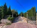 Gran Casa de Campo con Piscina y Anexo en Sax in Alicante Dream Homes API 1122