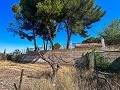 Gran Casa de Campo con Piscina y Anexo en Sax in Alicante Dream Homes API 1122
