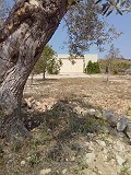 Lovely Authentic 4 Bed 2 Bath Spanish Finca with Guest House in Pinoso. in Alicante Dream Homes API 1122