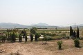 Lovely Authentic 4 Bed 2 Bath Spanish Finca with Guest House in Pinoso. in Alicante Dream Homes API 1122