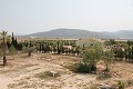Lovely Authentic 4 Bed 2 Bath Spanish Finca with Guest House in Pinoso. in Alicante Dream Homes API 1122