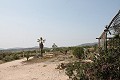 Lovely Authentic 4 Bed 2 Bath Spanish Finca with Guest House in Pinoso. in Alicante Dream Homes API 1122