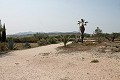 Lovely Authentic 4 Bed 2 Bath Spanish Finca with Guest House in Pinoso. in Alicante Dream Homes API 1122