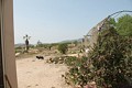 Lovely Authentic 4 Bed 2 Bath Spanish Finca with Guest House in Pinoso. in Alicante Dream Homes API 1122