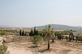 Lovely Authentic 4 Bed 2 Bath Spanish Finca with Guest House in Pinoso. in Alicante Dream Homes API 1122