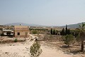 Lovely Authentic 4 Bed 2 Bath Spanish Finca with Guest House in Pinoso. in Alicante Dream Homes API 1122