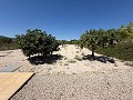 Stunning Country Home in Alicante Dream Homes API 1122