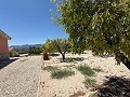 Stunning Country Home in Alicante Dream Homes API 1122