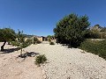Stunning Country Home in Alicante Dream Homes API 1122