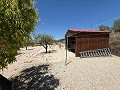 Stunning Country Home in Alicante Dream Homes API 1122