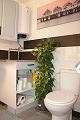 Prachtig hoekhuis met 2 slaapkamers en 2 badkamers in Torre del Rico (Murcia). in Alicante Dream Homes API 1122