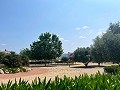 Ground Floor Apartment with fabulous views in Alicante Dream Homes API 1122