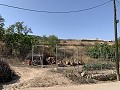 Reihenhaus mit 3 Schlafzimmern, Terrasse, Garage und Garten in Alicante Dream Homes API 1122
