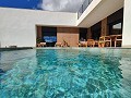 Beautiful New Build Villa including plot with pool in Jumilla. in Alicante Dream Homes API 1122