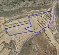 Beautiful New Build Villa including plot with pool in Jumilla. in Alicante Dream Homes API 1122