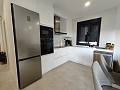 Beautiful New Build Villa including plot with pool in Jumilla. in Alicante Dream Homes API 1122