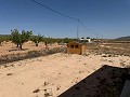 Prachtige villa met 3 slaapkamers en 2 badkamers in Pinoso. in Alicante Dream Homes API 1122
