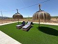 Prachtige villa met 3 slaapkamers en 2 badkamers in Pinoso. in Alicante Dream Homes API 1122