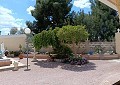 Fabulosa villa de 4 dormitorios con casa de invitados independiente en Sax in Alicante Dream Homes API 1122