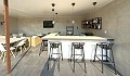 Preciosa villa de 4 dormitorios y 2 baños en Encebras, (Pinoso). in Alicante Dream Homes API 1122
