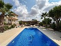 Belle villa de 5 chambres et 4 salles de bain à Pinoso. in Alicante Dream Homes API 1122