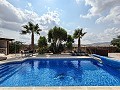 Belle villa de 5 chambres et 4 salles de bain à Pinoso. in Alicante Dream Homes API 1122