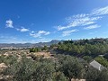 Retiro espiritual en Sax con infinitas posibilidades in Alicante Dream Homes API 1122