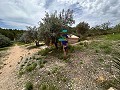 Retiro espiritual en Sax con infinitas posibilidades in Alicante Dream Homes API 1122