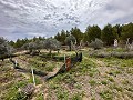 Retiro espiritual en Sax con infinitas posibilidades in Alicante Dream Homes API 1122