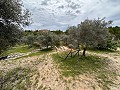 Retiro espiritual en Sax con infinitas posibilidades in Alicante Dream Homes API 1122
