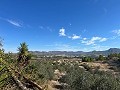 Retiro espiritual en Sax con infinitas posibilidades in Alicante Dream Homes API 1122