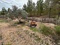 Retiro espiritual en Sax con infinitas posibilidades in Alicante Dream Homes API 1122