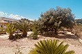 Magnifique villa espagnole rénovée à vendre à Albatera in Alicante Dream Homes API 1122