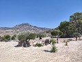 Hervorragende Villa mit 4 Schlafzimmern, Pool und unschlagbarer Aussicht in Fortuna. in Alicante Dream Homes API 1122